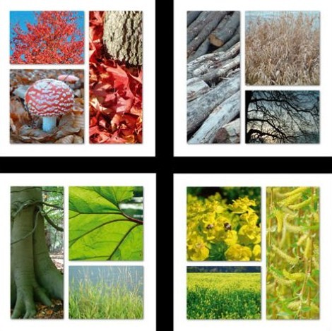 4seasons
